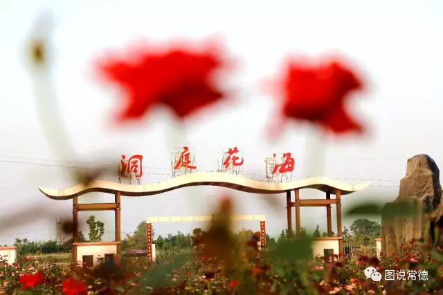 秋花 就算跑到漢壽也要親親你