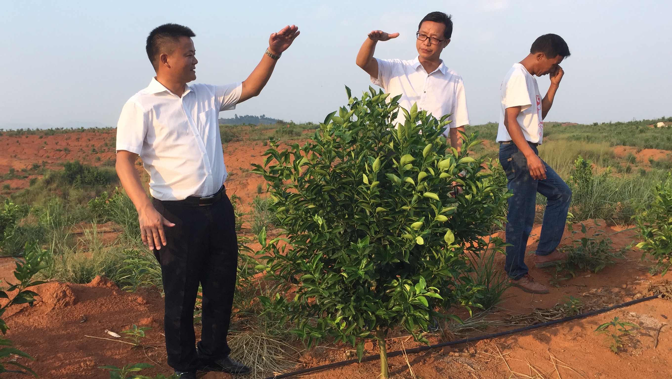 發(fā)揮龍頭企業(yè)帶動(dòng)作用