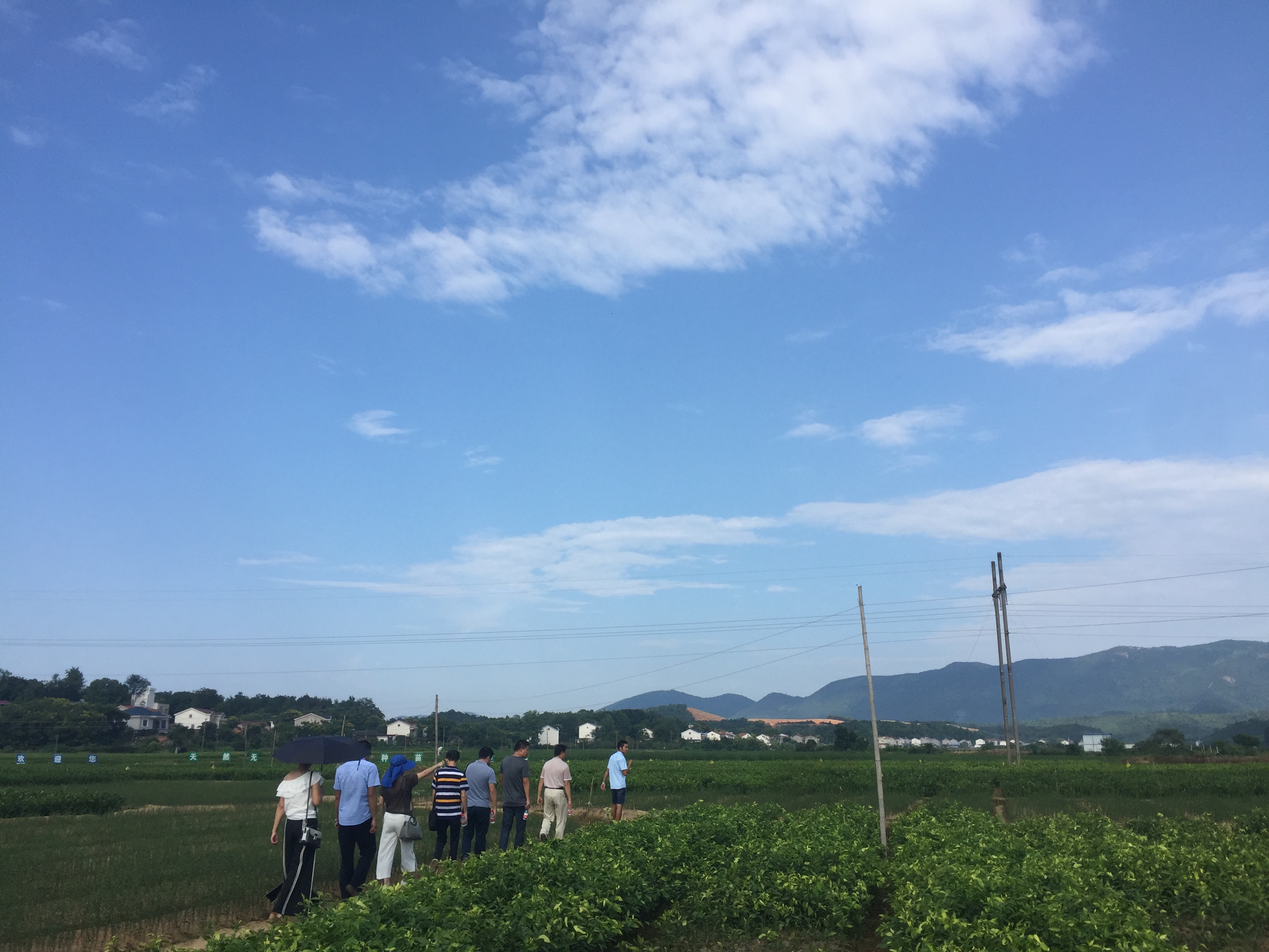 中國農村現狀和解決辦法