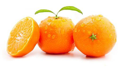 主要看氣質：桔子賣了8萬斤