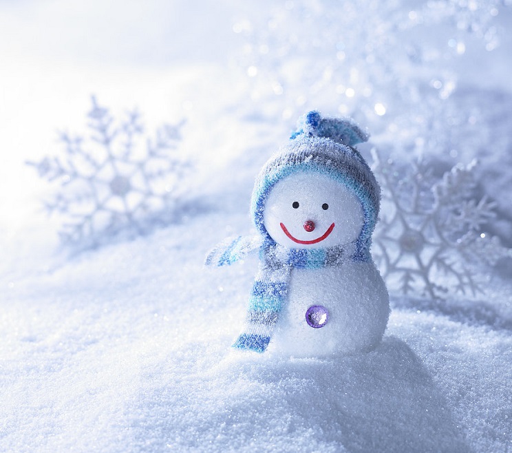 苗木越冬小知識(shí)