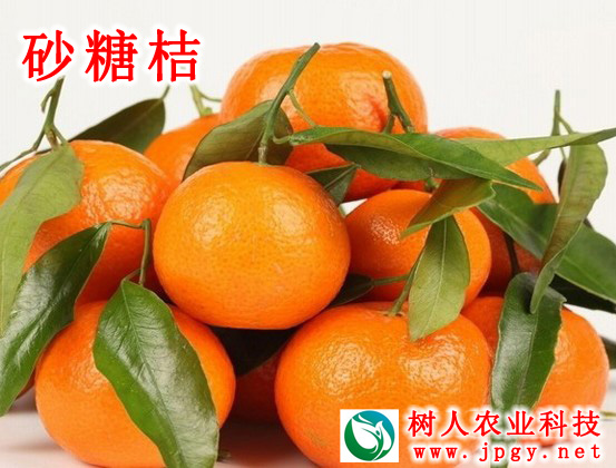 特種栽培技術(shù)