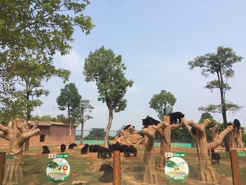 彩色油菜花的研究與開發推廣