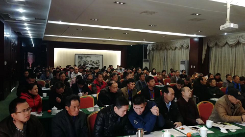 湖南樹人農林科技有限公司,湖南柑橘品種銷售,中國果樹網,常綠果樹類哪里好