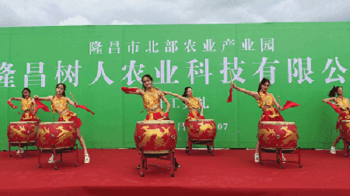 湖南樹人農林科技有限公司,湖南柑橘品種銷售,中國果樹網,常綠果樹類哪里好