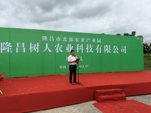 湖南樹人農林科技有限公司,湖南柑橘品種銷售,中國果樹網,常綠果樹類哪里好