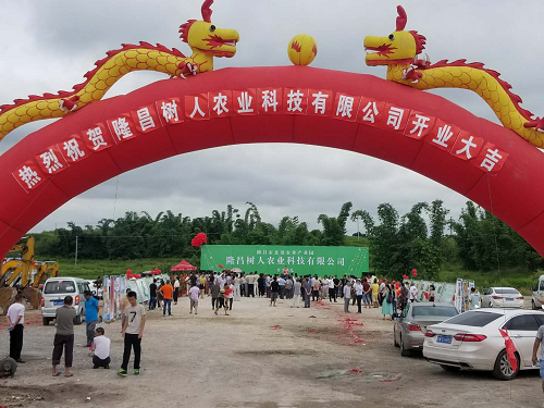 湖南樹人農林科技有限公司,湖南柑橘品種銷售,中國果樹網,常綠果樹類哪里好