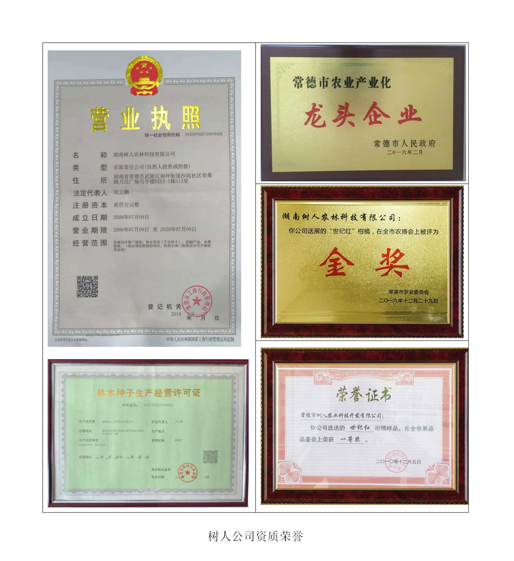 湖南樹(shù)人農(nóng)林科技有限公司,湖南柑橘品種銷售,中國(guó)果樹(shù)網(wǎng),常綠果樹(shù)類哪里好