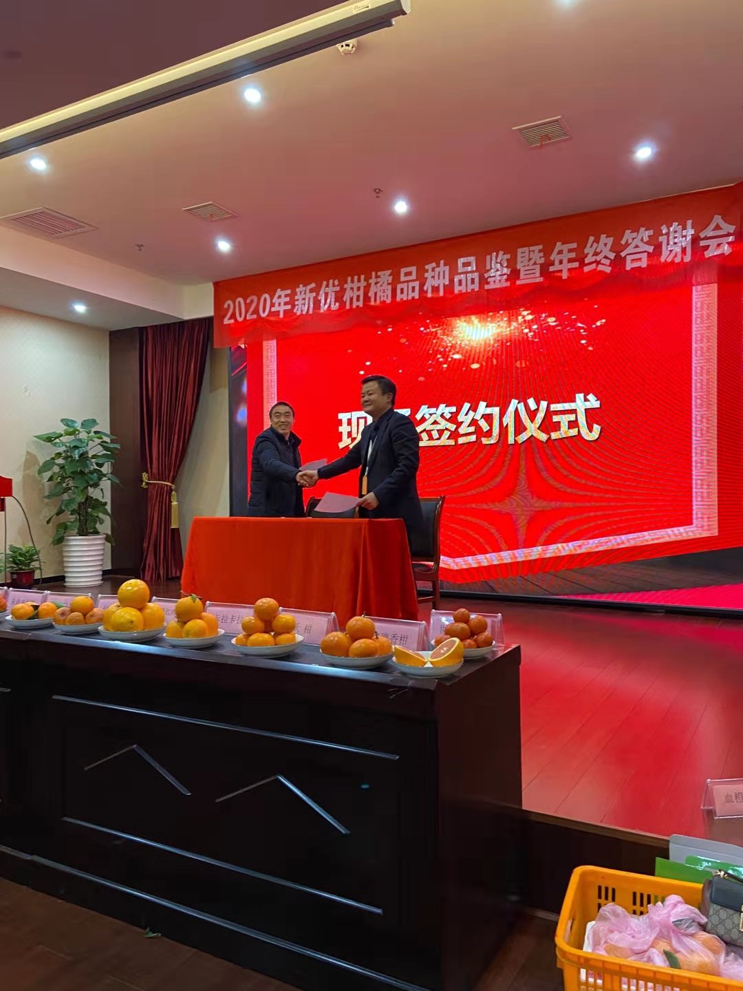 湖南樹人農(nóng)林科技有限公司,湖南柑橘品種銷售,中國果樹網(wǎng),常綠果樹類哪里好