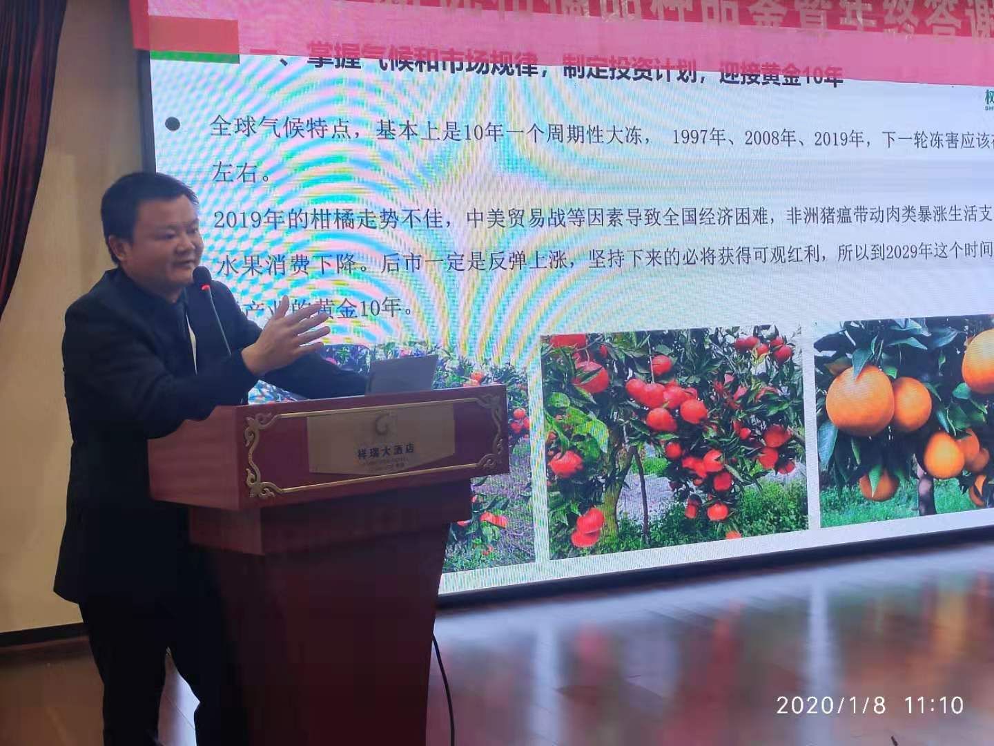 湖南樹人農(nóng)林科技有限公司,湖南柑橘品種銷售,中國果樹網(wǎng),常綠果樹類哪里好