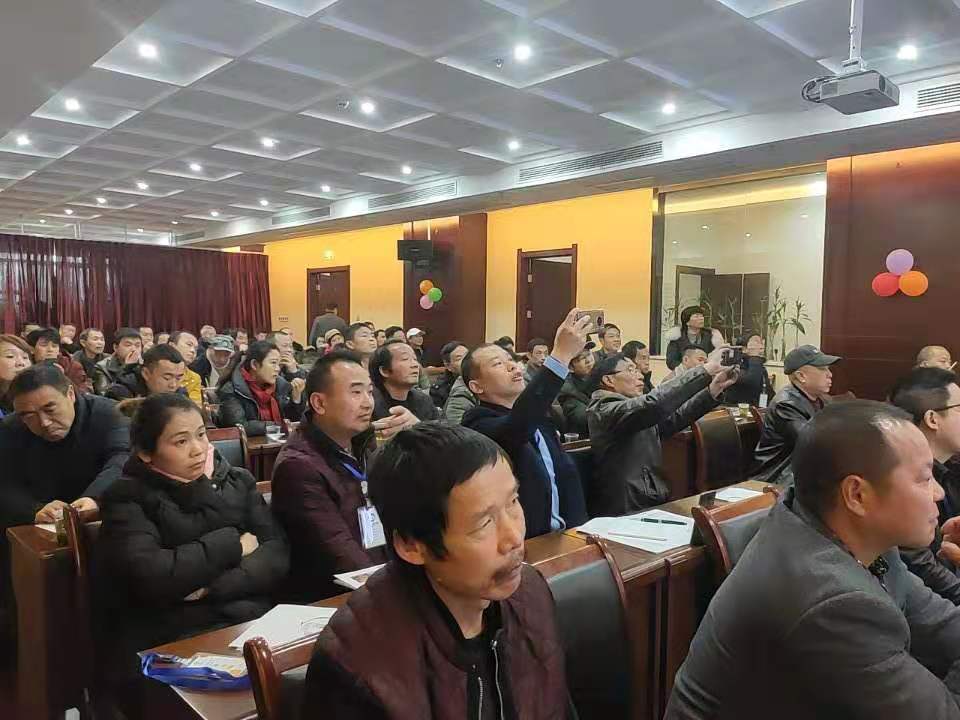 湖南樹人農(nóng)林科技有限公司,湖南柑橘品種銷售,中國果樹網(wǎng),常綠果樹類哪里好