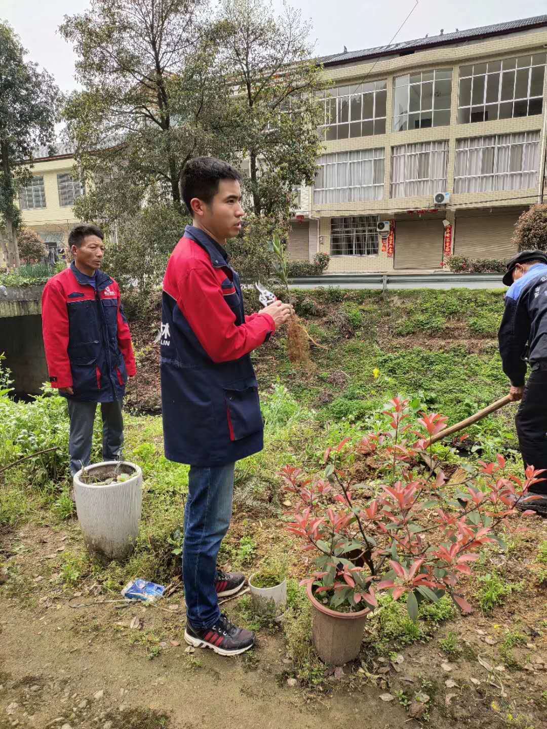 湖南樹人農林科技有限公司,湖南柑橘品種銷售,中國果樹網,常綠果樹類哪里好