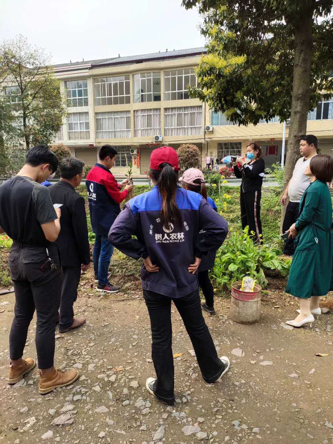 湖南樹人農林科技有限公司,湖南柑橘品種銷售,中國果樹網,常綠果樹類哪里好