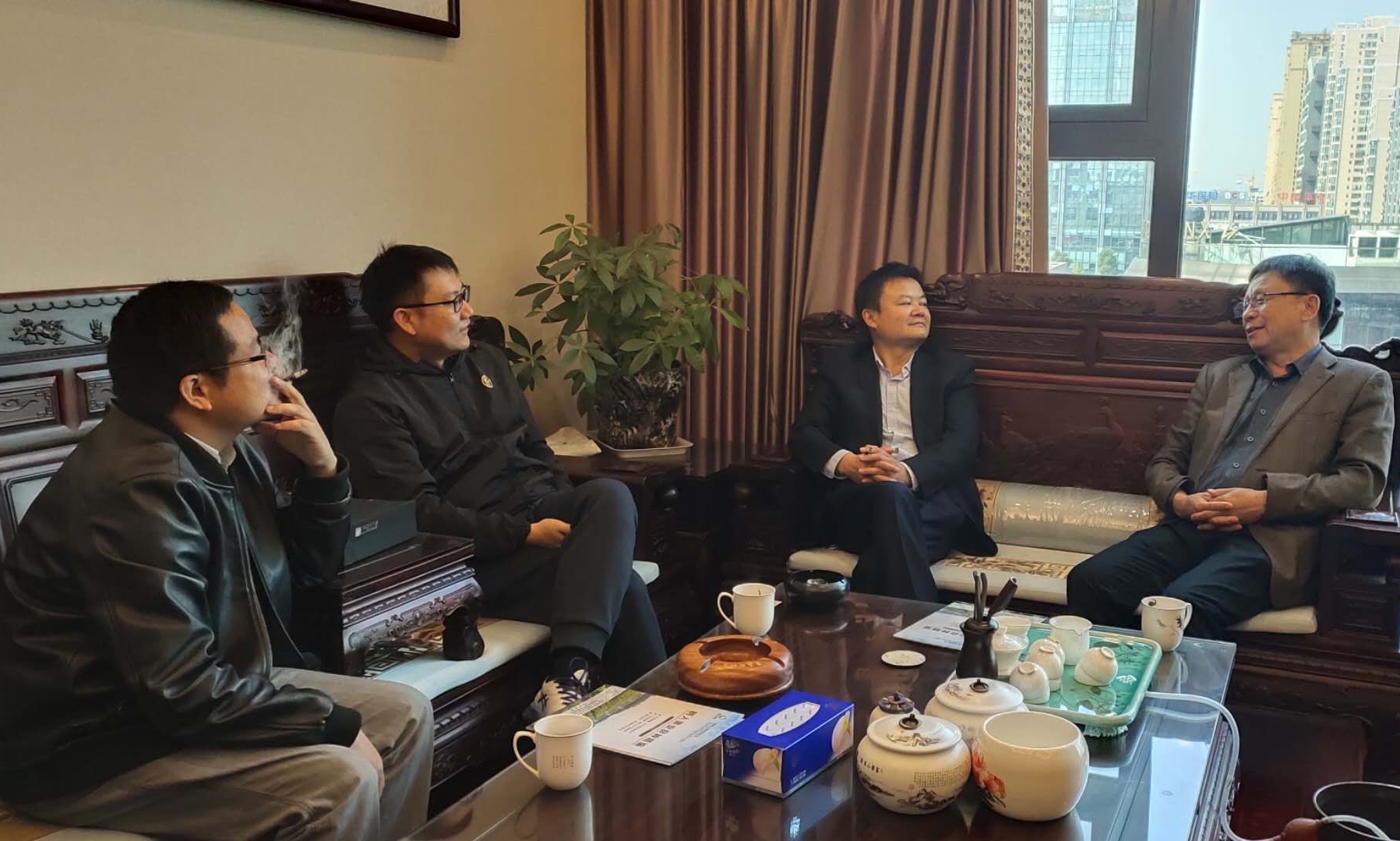 湖南樹人農林科技有限公司,湖南柑橘品種銷售,中國果樹網,常綠果樹類哪里好