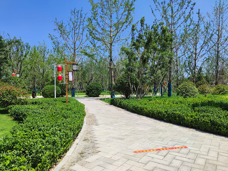 鋼結(jié)構(gòu)立體車庫(kù) 鋼結(jié)構(gòu)立體車庫(kù)